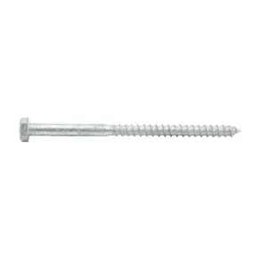 Coach Screw Galv M8 x 130