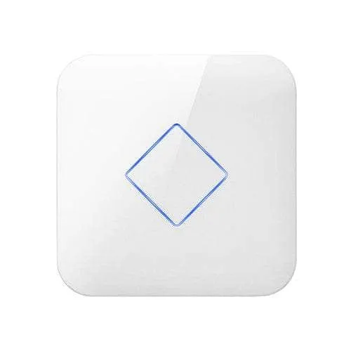 Duxbury 420AP Ceiling Mount AC1200 Access Point