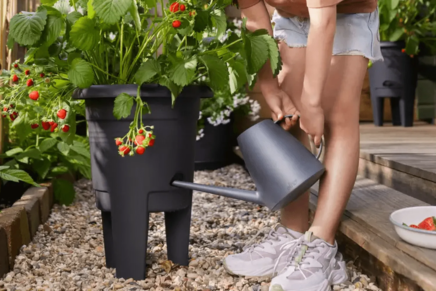 Green Basics strawberry pot