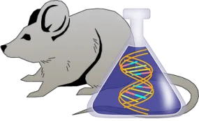 Mouse Factor IX Genetically Deficient Spleen Lyophilized